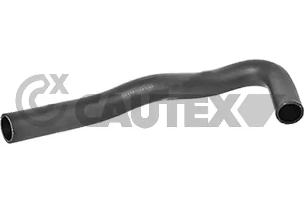 Radiator Hose (754387)