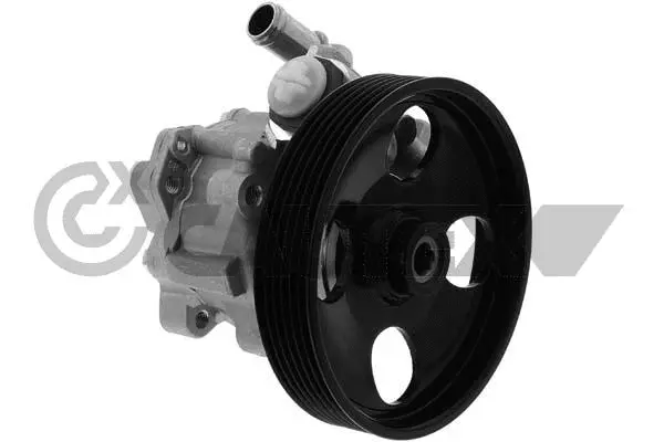 Hydraulic Pump, steering (768498)