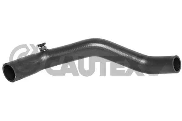 Radiator Hose (026270)