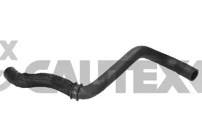 Radiator Hose (036753)
