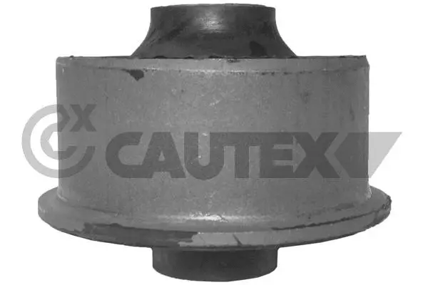 Mounting, control/trailing arm (080087)