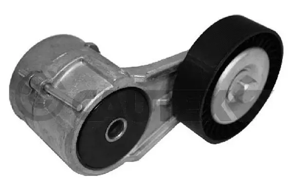Belt Tensioner, V-ribbed belt (481144)