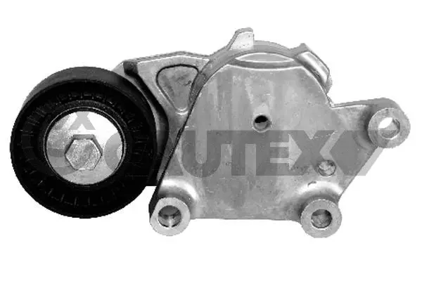 Belt Tensioner, V-ribbed belt (031700)