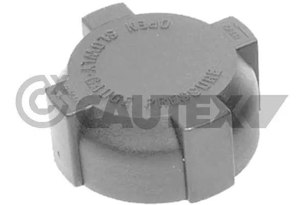 Cap, coolant tank (770422)