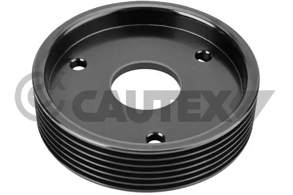 Belt Pulley, power steering pump (759712)