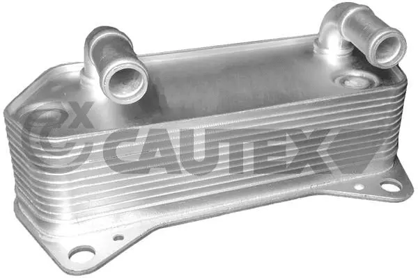 Oil Cooler, engine oil (462519)
