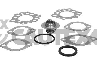 Thermostat, coolant (770189)