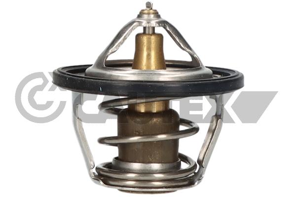 Thermostat, coolant (756906)