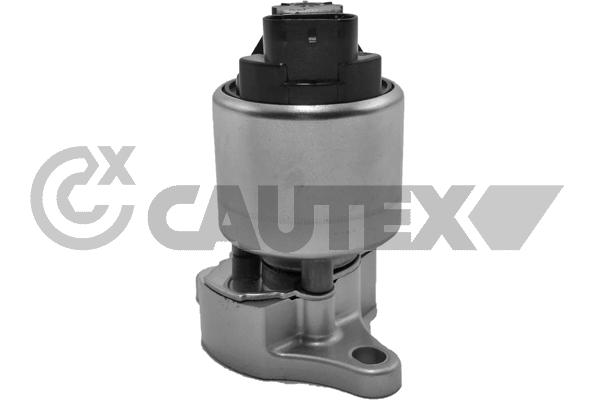 EGR Valve (770103)