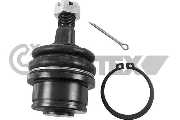 Ball Joint (755065)
