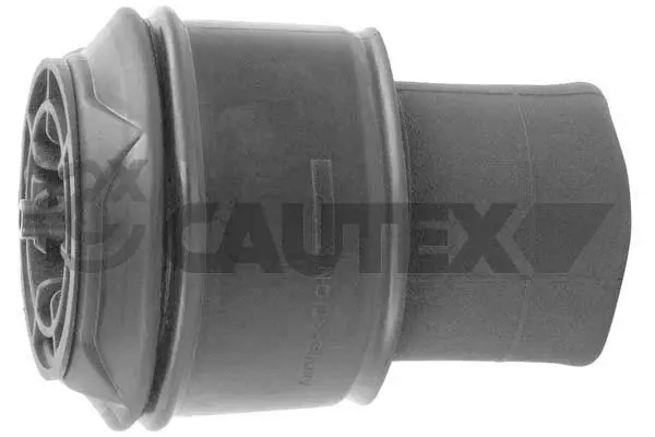 Air Spring, suspension (753454)