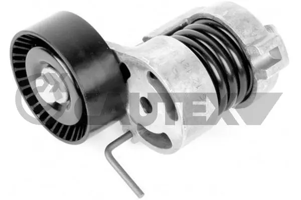 Belt Tensioner, V-ribbed belt (770081)