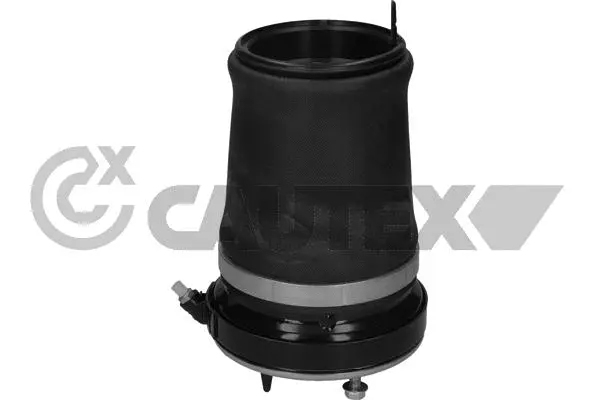 Air Spring, suspension (752897)