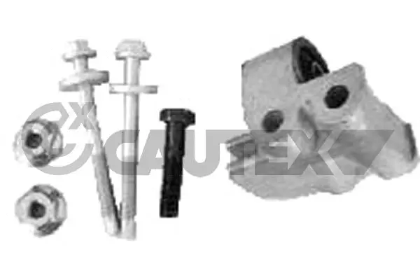 Bushing, axle beam (767313)