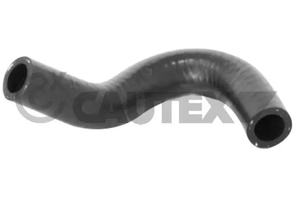 Radiator Hose (771660)