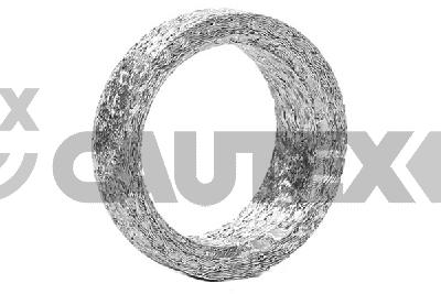 Gasket, exhaust pipe (775796)