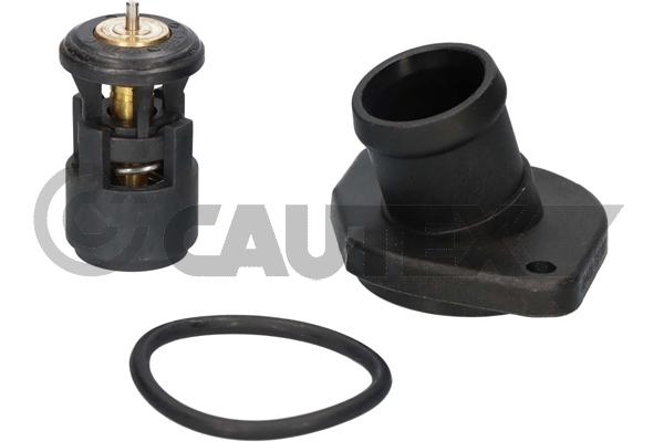 Thermostat, coolant (461091)