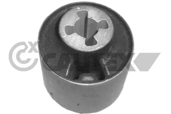 Bushing, axle beam (755673)
