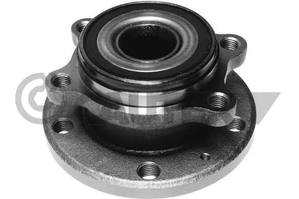 Wheel Hub (462560)