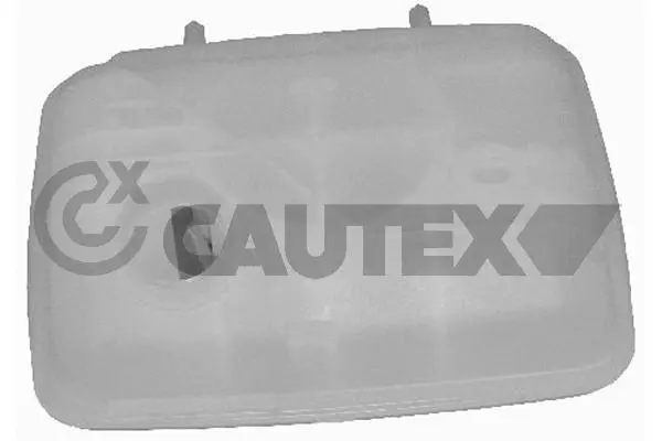 Expansion Tank, coolant (955424)