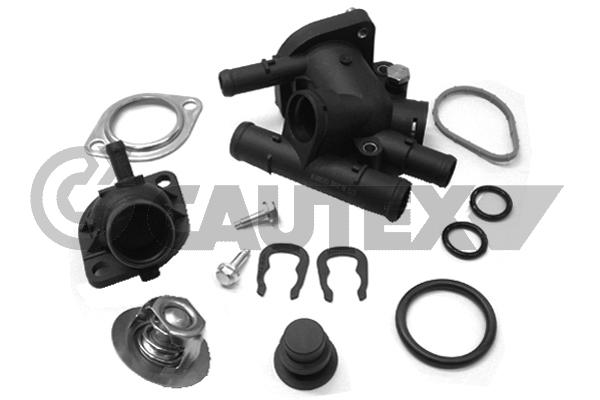 Thermostat, coolant (952142)