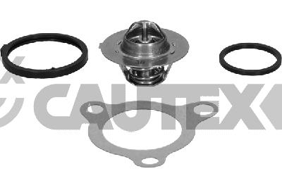Thermostat, coolant (775416)