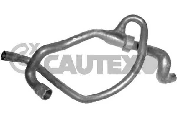 Radiator Hose (753639)