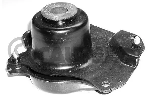 Mounting, engine (461038)