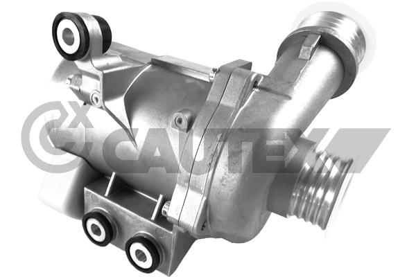Water Pump, engine cooling (750669)