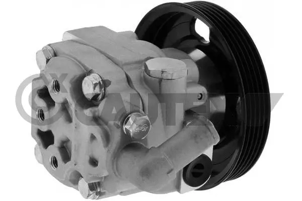 Hydraulic Pump, steering (768487)