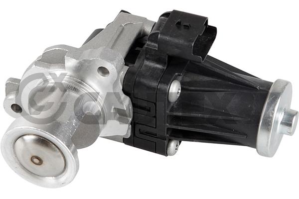 EGR Valve (764466)