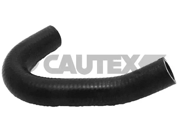 Radiator Hose (011411)