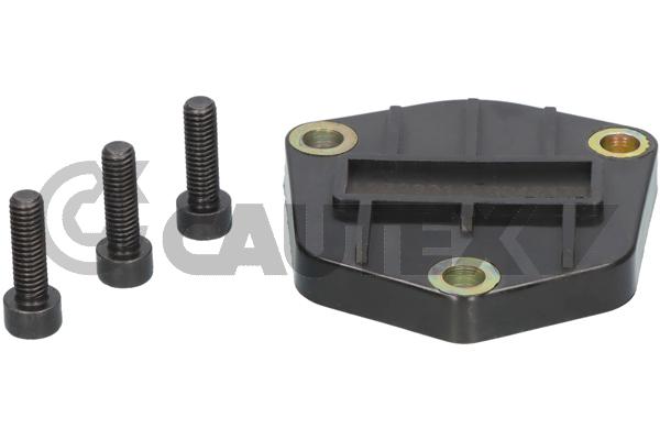 Gasket, oil sump (462533)