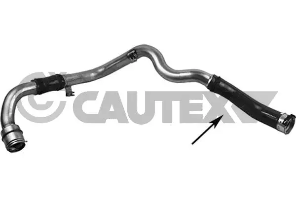 Charge Air Hose (765556)