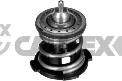 Thermostat, coolant (774570)