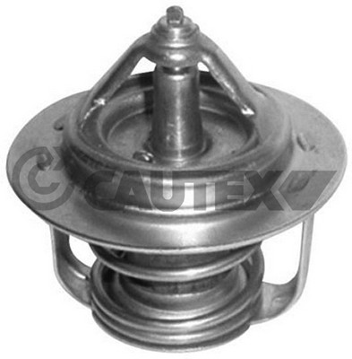 Thermostat, coolant (756895)