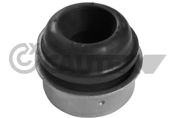 Bushing, axle beam (482511)