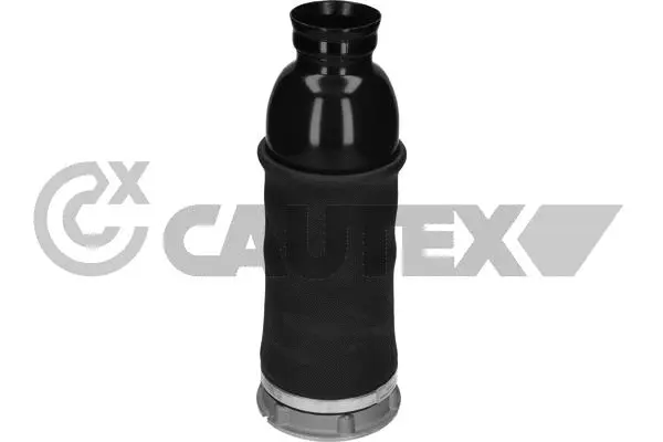 Air Spring, suspension (753499)