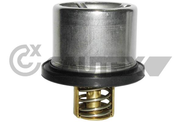 Thermostat, coolant (769135)