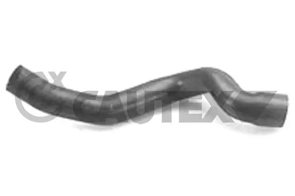 Radiator Hose (026268)