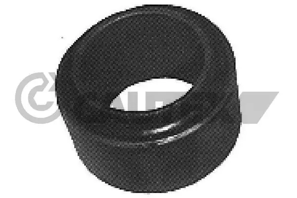 Mounting, control/trailing arm (020393)