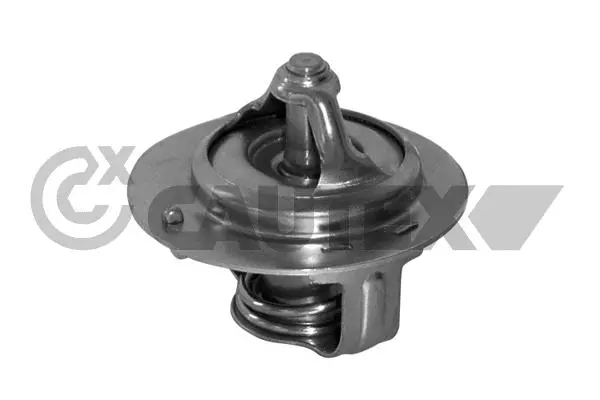 Thermostat, coolant (772123)