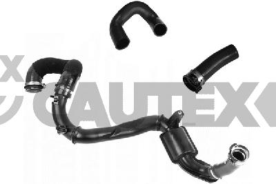 Radiator Hose (774946)