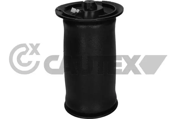 Air Spring, suspension (753065)