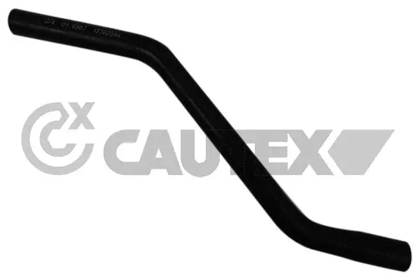 Radiator Hose (016387)