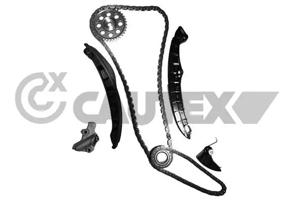 Timing Chain Kit (462614)