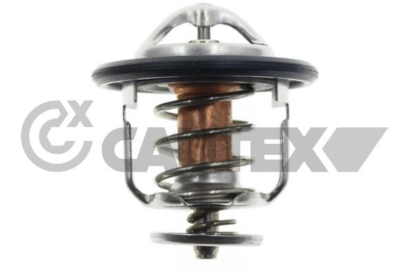 Thermostat, coolant (774582)