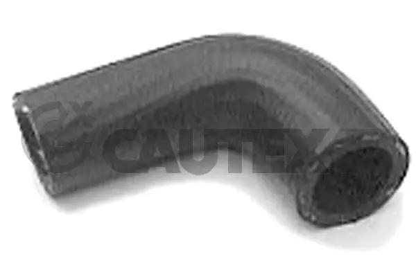 Radiator Hose (026428)