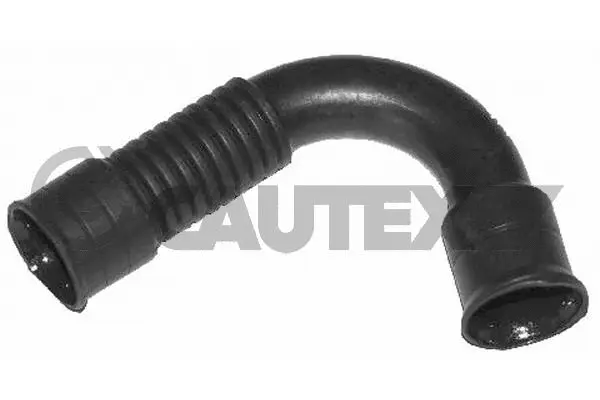 Pipe, EGR valve (461393)