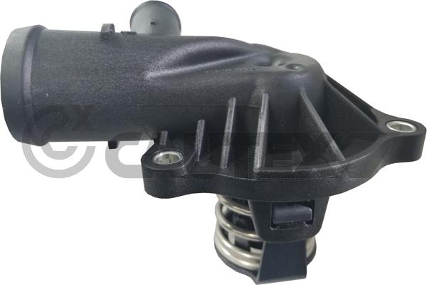 Thermostat, coolant (750813)